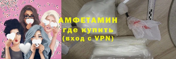 прущие грибы Кострома