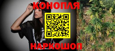 spice Кингисепп
