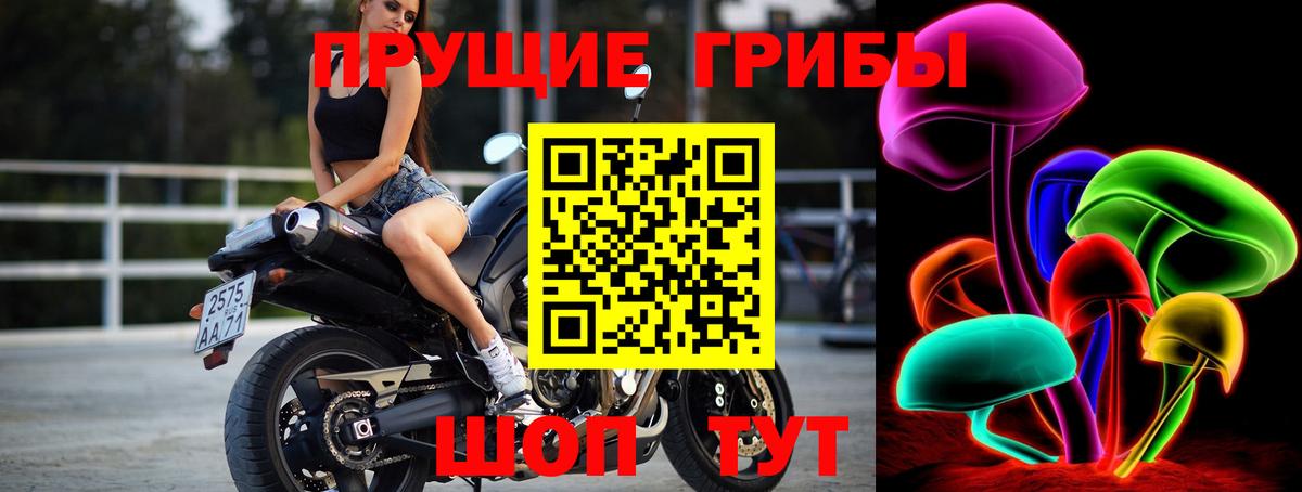 Кузнецк  Псилоцибиновые грибы ЛСД  купить  цена  Вход с VPN  Псилоцибиновые грибы мицелий 