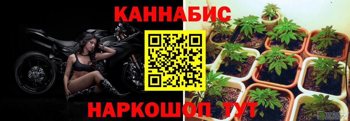 Кузнецк  Марихуана Ganja  Канабис VHQ  Вход с VPN 